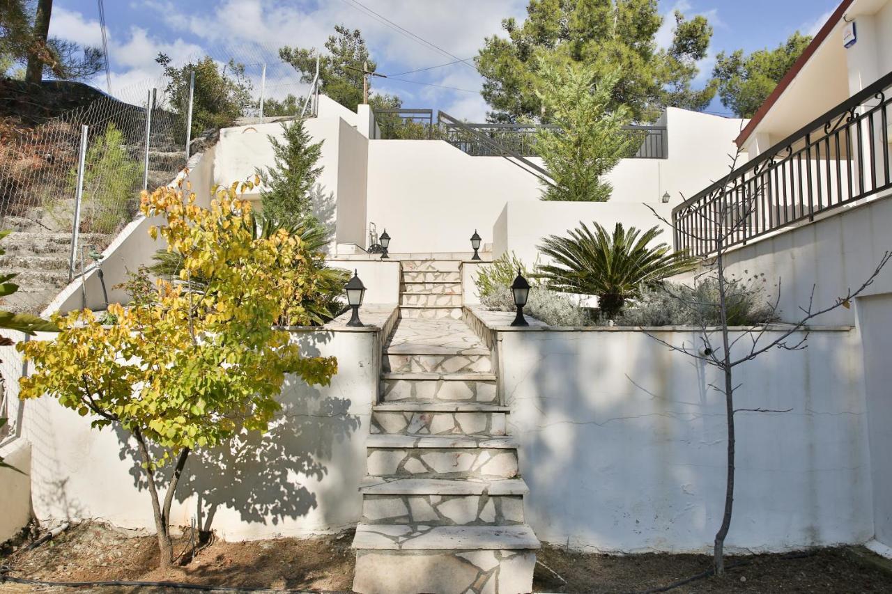 Nestor Hillside House By Trulycyprus